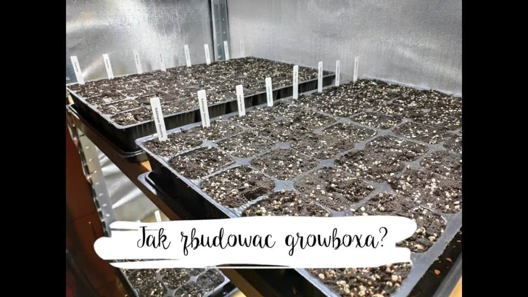 Jak stworzyć idealny growbox DIY: materiały, instrukcje i porady